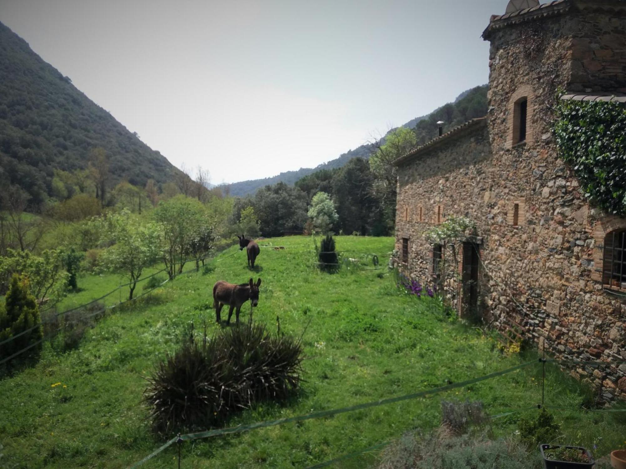 Bed And Breakfast Casanova De Sant Miquel Aiguafreda Exterior foto